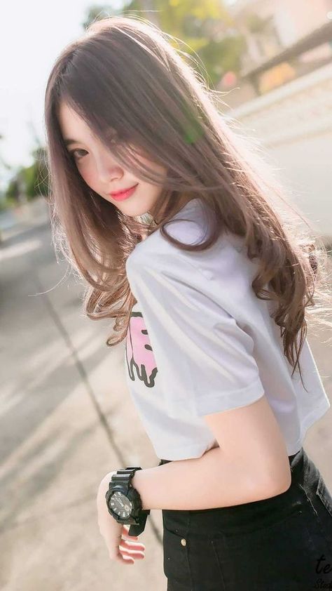 《金花瓶楷梅花2》